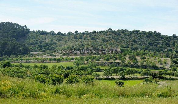 renovierungsbeduerftige-finca-auf-imposantem-grundstueck-von-42-000-m-mit-panoramablick-auf-die-umliegende-landschaft-in-manacor-auf-mallorca