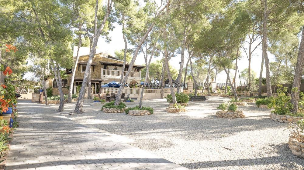 details-immobilie-538