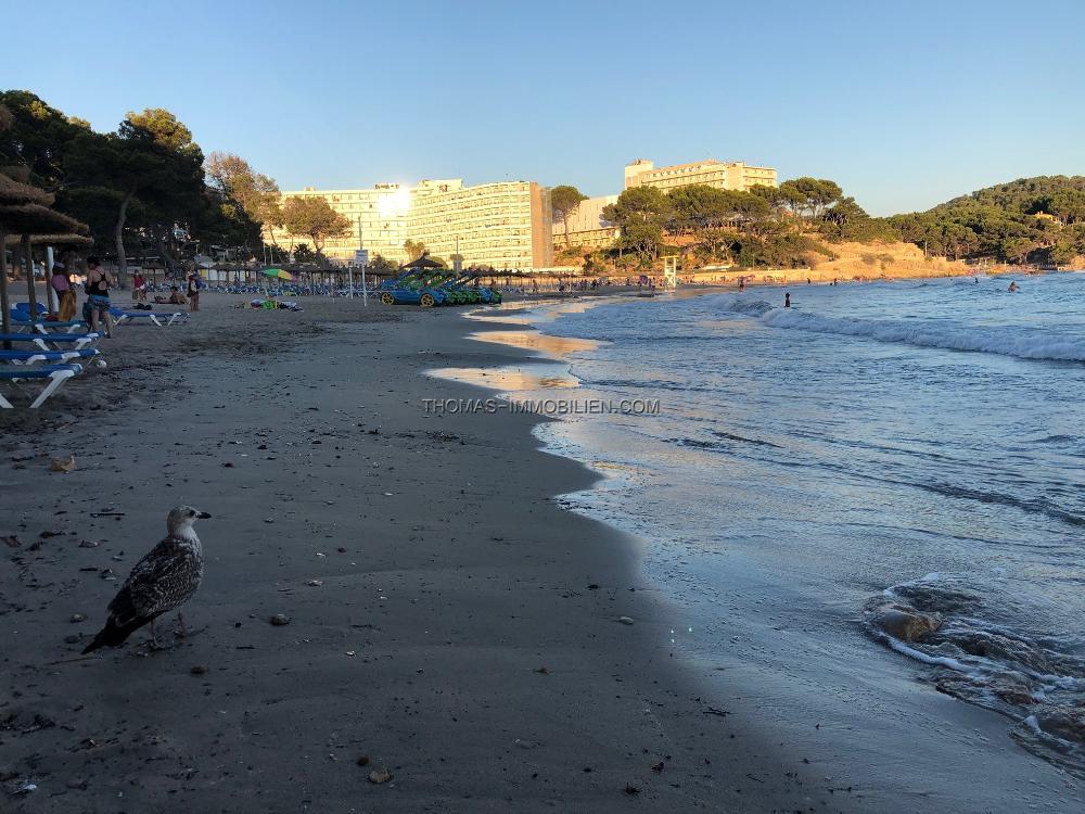 tolle-villa-mit-pool-meerblick-und-lizenz-fuer-ferienvermietung-in-peguera-auf-mallorca-bilder-auf-anfrage