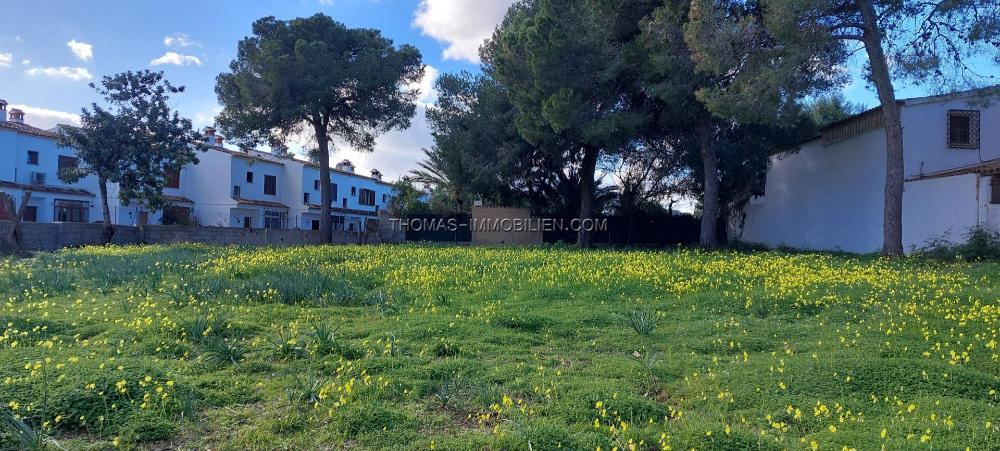 schoenes-grosses-grundstueck-in-palmanova-auf-mallorca