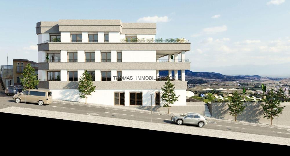 exklusive-neubauwohnungen-mit-blick-auf-die-weinberge-in-hondon-de-las-nieves-spanien