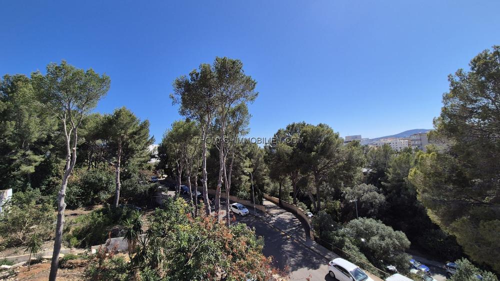 1100-m-grosses-grundstueck-mit-suedwestausrichtung-in-portals-nous-auf-mallorca