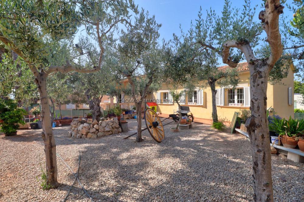 charmantes-haus-auf-einer-ebene-mit-olivengarten-ueberdachtem-pool-und-grosszuegigen-terrassen-in-santa-ponsa-auf-mallorca