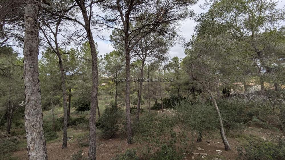 erstklassiges-grundstueck-zum-verkauf-in-santa-ponsa