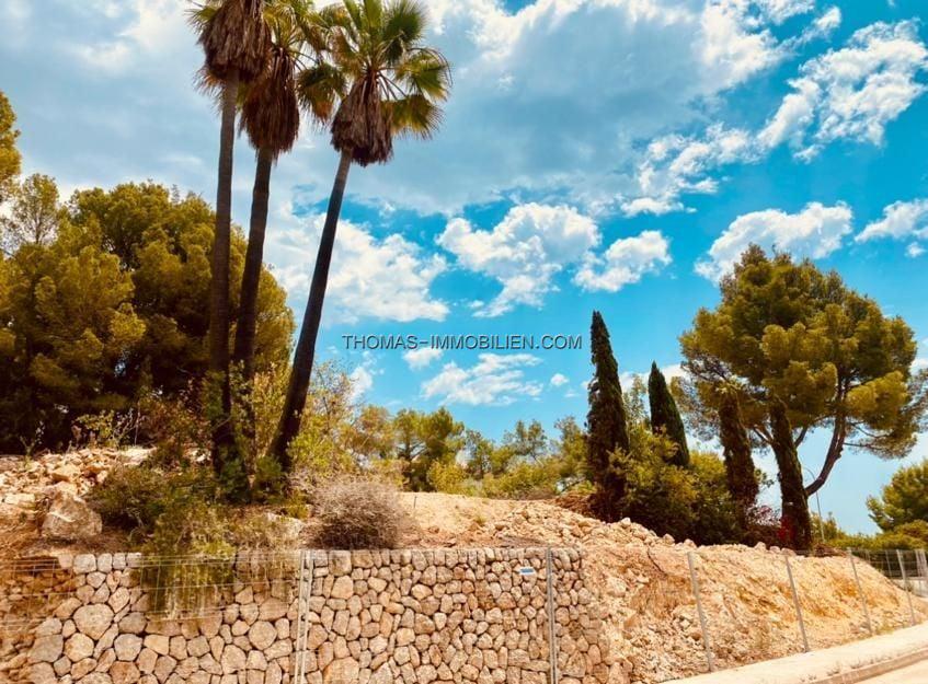 aussergewoehnliches-baugrundstueck-bestehend-aus-1720-m-in-bendinat-auf-mallorca