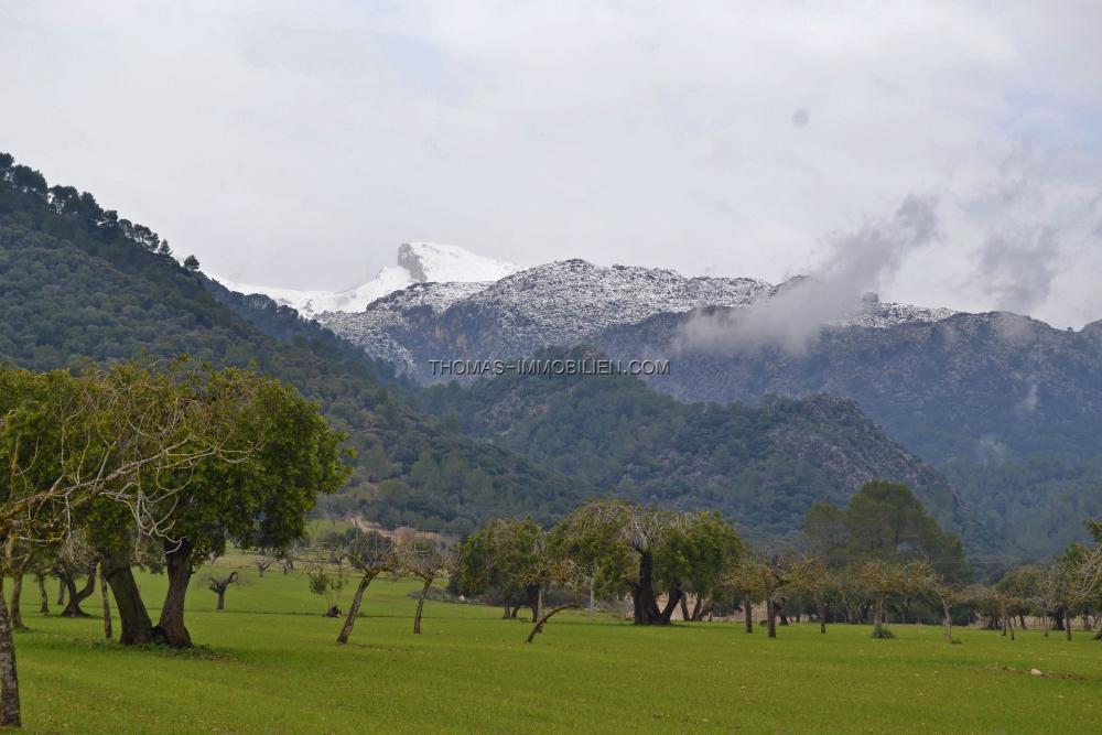 grundstueck-mit-41-417-m-in-campanet-auf-mallorca